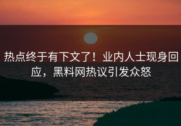 热点终于有下文了！业内人士现身回应，黑料网热议引发众怒