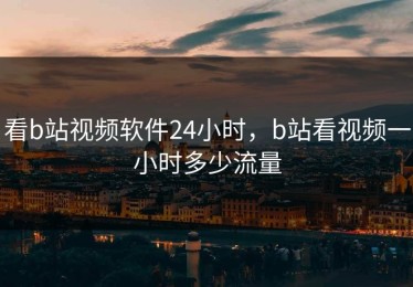 看b站视频软件24小时，b站看视频一小时多少流量