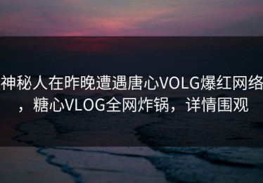 神秘人在昨晚遭遇唐心VOLG爆红网络，糖心VLOG全网炸锅，详情围观