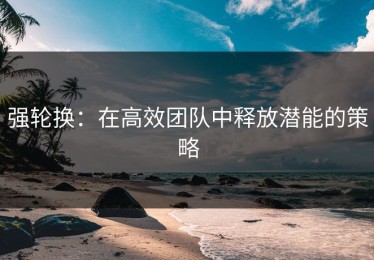 强轮换：在高效团队中释放潜能的策略
