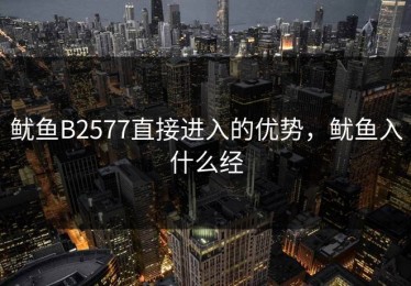 鱿鱼B2577直接进入的优势，鱿鱼入什么经