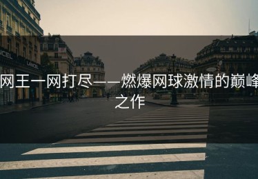 网王一网打尽——燃爆网球激情的巅峰之作