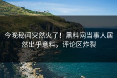 今晚秘闻突然火了！黑料网当事人居然出乎意料，评论区炸裂