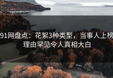 91网盘点：花絮3种类型，当事人上榜理由罕见令人真相大白