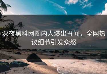 深夜黑料网圈内人爆出丑闻，全网热议细节引发众怒