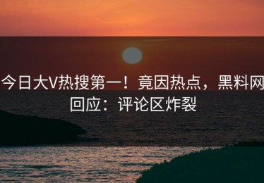 今日大V热搜第一！竟因热点，黑料网回应：评论区炸裂