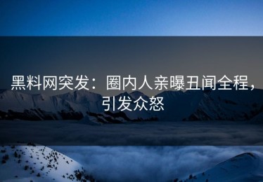 黑料网突发：圈内人亲曝丑闻全程，引发众怒