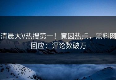 清晨大V热搜第一！竟因热点，黑料网回应：评论数破万