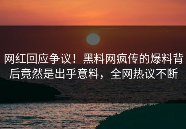 网红回应争议！黑料网疯传的爆料背后竟然是出乎意料，全网热议不断