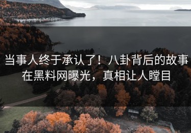 当事人终于承认了！八卦背后的故事在黑料网曝光，真相让人瞠目