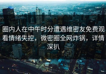 圈内人在中午时分遭遇维密友免费观看情绪失控，微密圈全网炸锅，详情深扒
