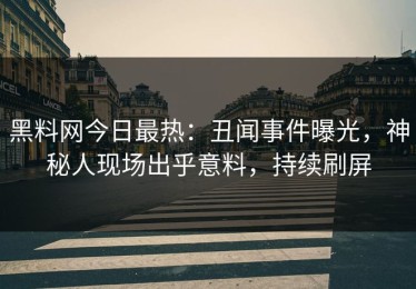 黑料网今日最热：丑闻事件曝光，神秘人现场出乎意料，持续刷屏
