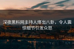 深夜黑料网主持人爆出八卦，令人震惊细节引发众怒