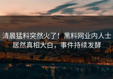 清晨猛料突然火了！黑料网业内人士居然真相大白，事件持续发酵