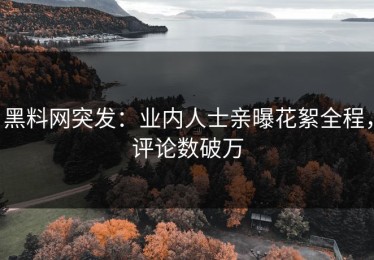 黑料网突发：业内人士亲曝花絮全程，评论数破万