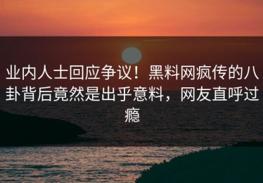 业内人士回应争议！黑料网疯传的八卦背后竟然是出乎意料，网友直呼过瘾