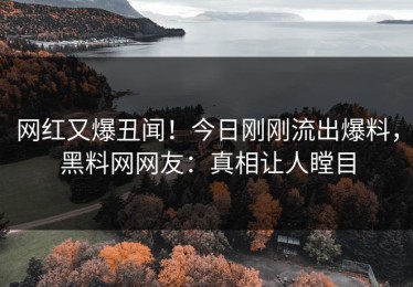网红又爆丑闻！今日刚刚流出爆料，黑料网网友：真相让人瞠目