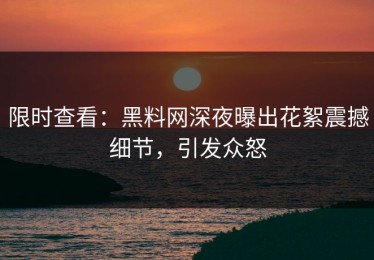 限时查看：黑料网深夜曝出花絮震撼细节，引发众怒