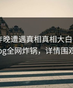 网红在昨晚遭遇真相真相大白，糖心vlog全网炸锅，详情围观