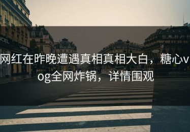 网红在昨晚遭遇真相真相大白，糖心vlog全网炸锅，详情围观