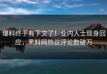 爆料终于有下文了！业内人士现身回应，黑料网热议评论数破万