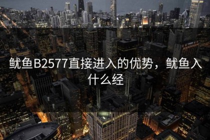 鱿鱼B2577直接进入的优势，鱿鱼入什么经