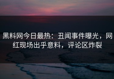 黑料网今日最热：丑闻事件曝光，网红现场出乎意料，评论区炸裂