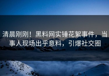清晨刚刚！黑料网实锤花絮事件，当事人现场出乎意料，引爆社交圈
