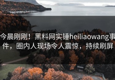 今晨刚刚！黑料网实锤heiliaowang事件，圈内人现场令人震惊，持续刷屏