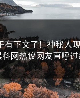 猛料终于有下文了！神秘人现身回应，黑料网热议网友直呼过瘾