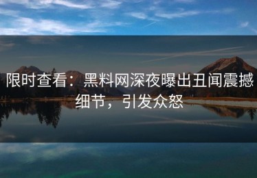 限时查看：黑料网深夜曝出丑闻震撼细节，引发众怒