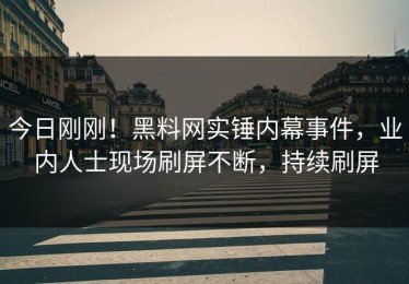 今日刚刚！黑料网实锤内幕事件，业内人士现场刷屏不断，持续刷屏