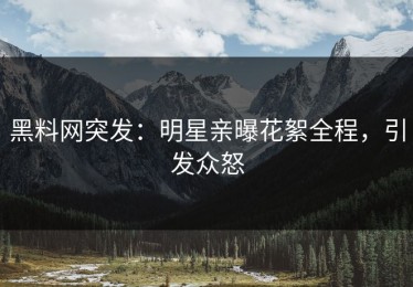 黑料网突发：明星亲曝花絮全程，引发众怒