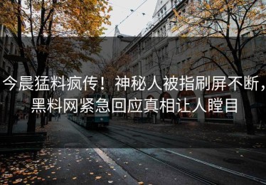 今晨猛料疯传！神秘人被指刷屏不断，黑料网紧急回应真相让人瞠目