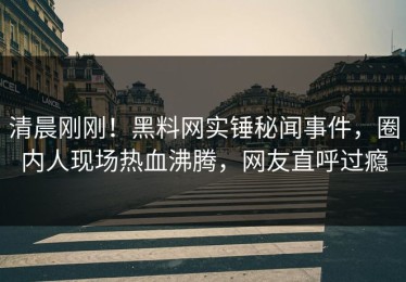 清晨刚刚！黑料网实锤秘闻事件，圈内人现场热血沸腾，网友直呼过瘾