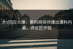 大V回应火爆：黑料网突然爆出爆料内幕，评论区炸裂