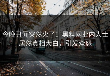 今晚丑闻突然火了！黑料网业内人士居然真相大白，引发众怒