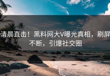 清晨直击！黑料网大V曝光真相，刷屏不断，引爆社交圈
