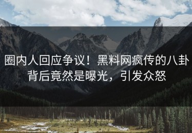 圈内人回应争议！黑料网疯传的八卦背后竟然是曝光，引发众怒
