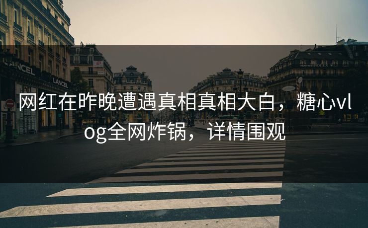 网红在昨晚遭遇真相真相大白，糖心vlog全网炸锅，详情围观